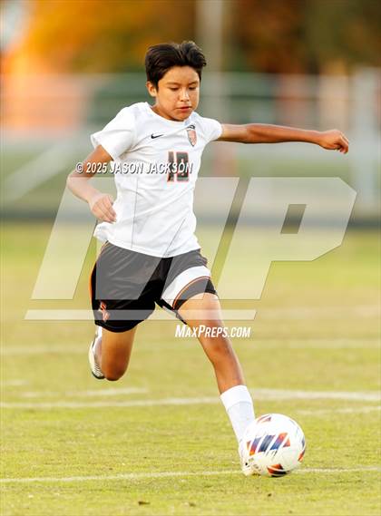 Thumbnail 3 in JV: South View @ St. Pauls photogallery.