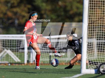 Thumbnail 2 in Wall Township vs Holmdel (NJSIAA Central Jersey Group 2 Semifinal) photogallery.
