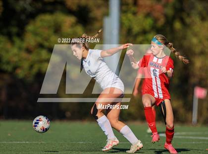 Thumbnail 2 in Wall Township vs Holmdel (NJSIAA Central Jersey Group 2 Semifinal) photogallery.