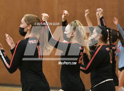Thumbnail 2 in Palos Verdes @ Polytechnic (CIF-SS D2 Playoff) photogallery.