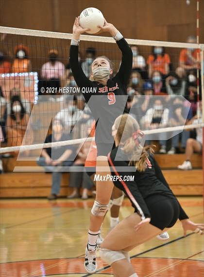 Thumbnail 1 in Palos Verdes @ Polytechnic (CIF-SS D2 Playoff) photogallery.