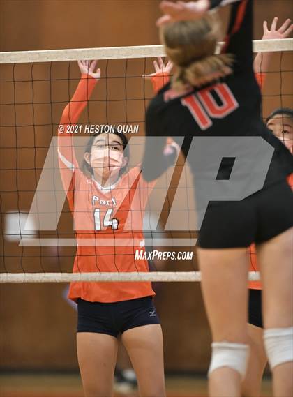 Thumbnail 3 in Palos Verdes @ Polytechnic (CIF-SS D2 Playoff) photogallery.
