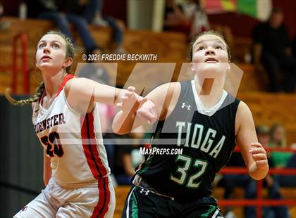 Thumbnail 1 in Tioga @ Muenster photogallery.
