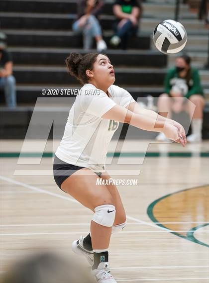 Thumbnail 2 in Liberty @ Basha photogallery.