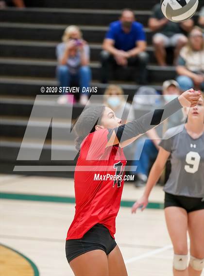Thumbnail 2 in Liberty @ Basha photogallery.