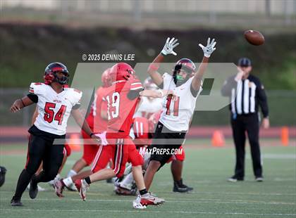 Thumbnail 3 in JV: Antelope @ Cordova photogallery.