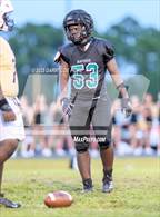 Photo from the gallery "Astronaut @ Bayside"