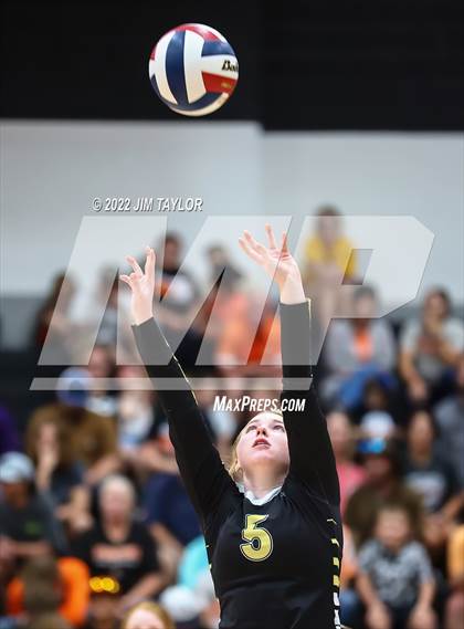 Thumbnail 3 in Rider @ Springtown photogallery.