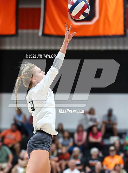 Thumbnail 3 in Rider @ Springtown photogallery.