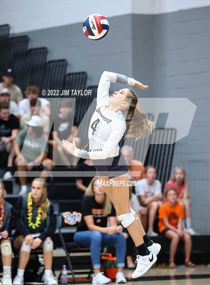 Thumbnail 2 in Rider @ Springtown photogallery.