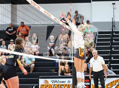 Thumbnail 3 in Rider @ Springtown photogallery.