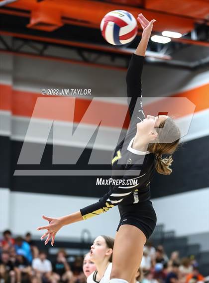 Thumbnail 1 in Rider @ Springtown photogallery.