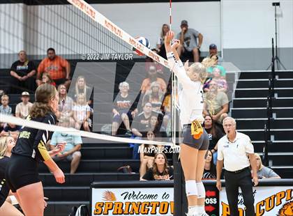 Thumbnail 2 in Rider @ Springtown photogallery.