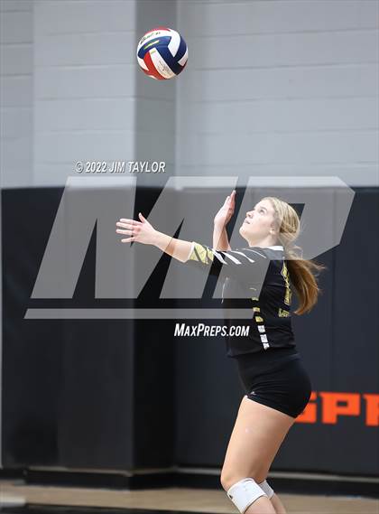 Thumbnail 1 in Rider @ Springtown photogallery.