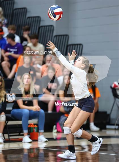 Thumbnail 3 in Rider @ Springtown photogallery.