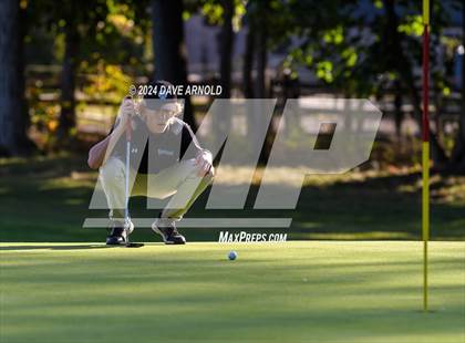Thumbnail 3 in Berwick @ Pingree photogallery.