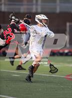 Photo from the gallery "Fitch @ Stonington"