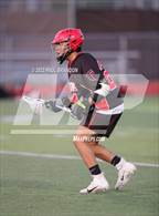 Photo from the gallery "Fitch @ Stonington"