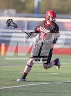 Photo from the gallery "Fitch @ Stonington"