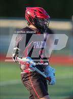 Photo from the gallery "Fitch @ Stonington"