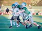 Photo from the gallery "St. Mary's @ De La Salle"