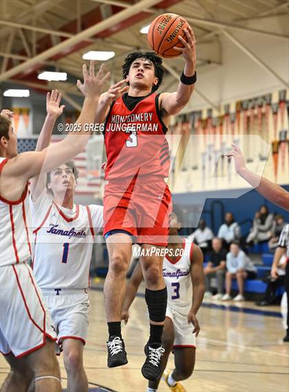 Thumbnail 3 in Montgomery @ Tamalpais photogallery.