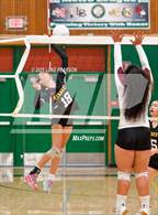 Photo from the gallery "Florin @ Kennedy"