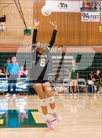 Photo from the gallery "Florin @ Kennedy"