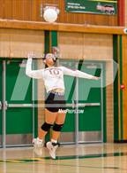 Photo from the gallery "Florin @ Kennedy"