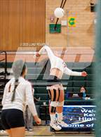 Photo from the gallery "Florin @ Kennedy"