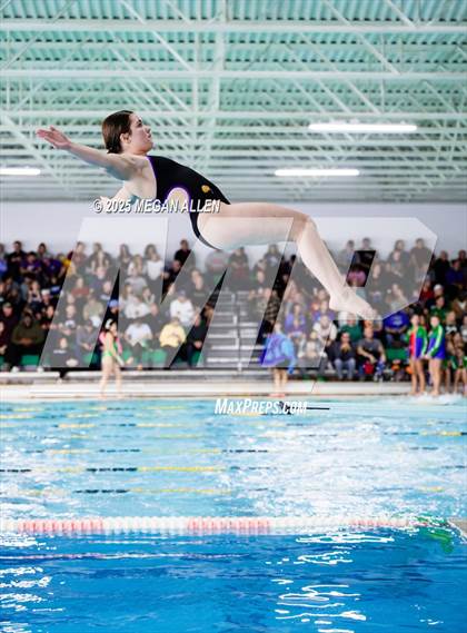 Thumbnail 1 in Bellbrook Best of the Nest Swim Invitational photogallery.