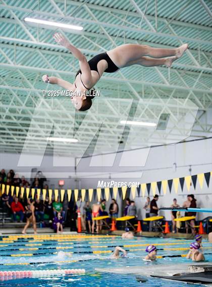 Thumbnail 1 in Bellbrook Best of the Nest Swim Invitational photogallery.
