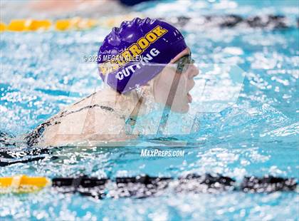 Thumbnail 2 in Bellbrook Best of the Nest Swim Invitational photogallery.