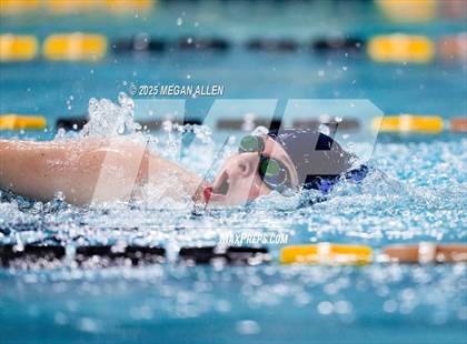 Thumbnail 3 in Bellbrook Best of the Nest Swim Invitational photogallery.