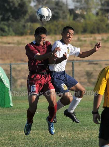 Thumbnail 2 in McClatchy @ Rosemont photogallery.