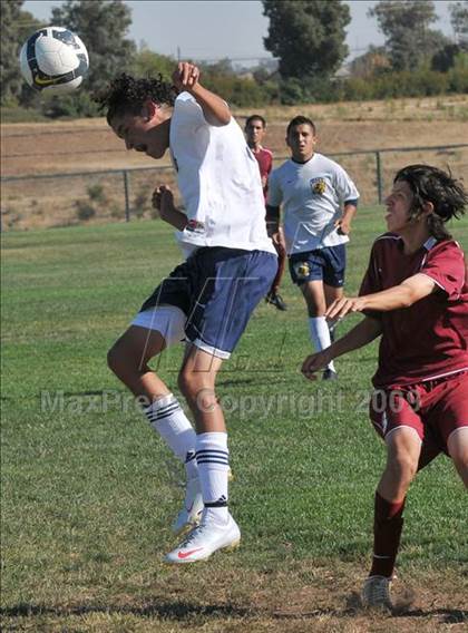 Thumbnail 1 in McClatchy @ Rosemont photogallery.