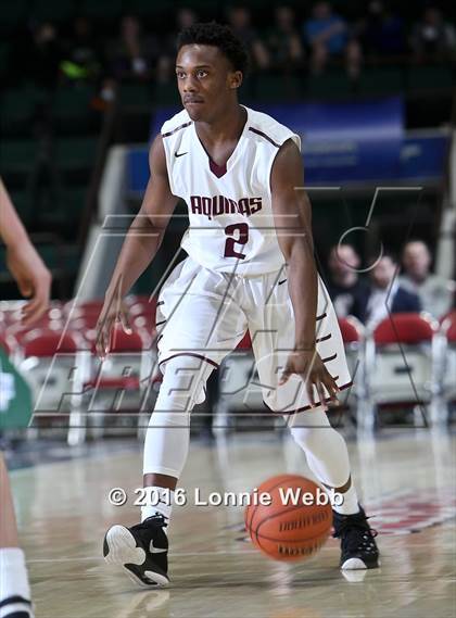 Thumbnail 1 in Shenendehowa vs. Aquinas  (NYSPHSAA Class AA Semifinal) photogallery.
