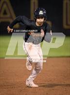 Photo from the gallery "Arcadia @ Muir"