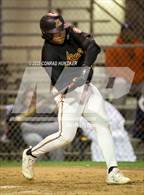 Photo from the gallery "Arcadia @ Muir"