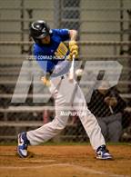 Photo from the gallery "Arcadia @ Muir"