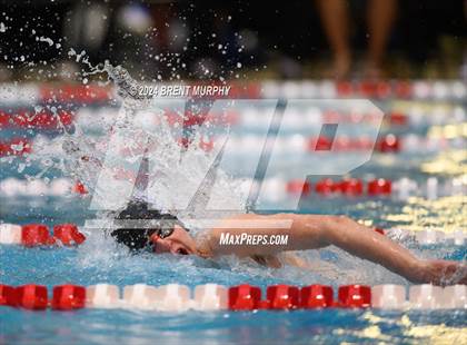 Thumbnail 1 in CHSAA 4A Boys Swimming - State Championship photogallery.