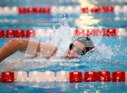 Thumbnail 2 in CHSAA 4A Boys Swimming - State Championship photogallery.