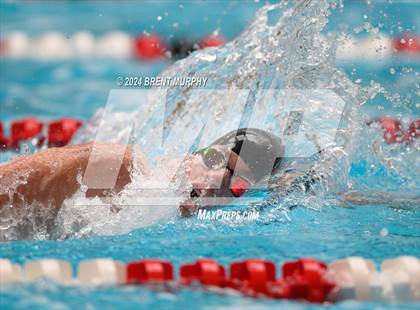 Thumbnail 1 in CHSAA 4A Boys Swimming - State Championship photogallery.