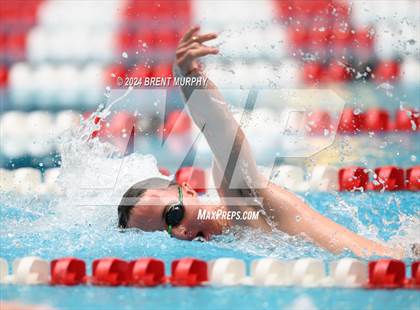 Thumbnail 2 in CHSAA 4A Boys Swimming - State Championship photogallery.