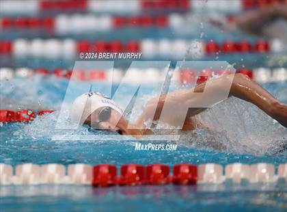 Thumbnail 3 in CHSAA 4A Boys Swimming - State Championship photogallery.