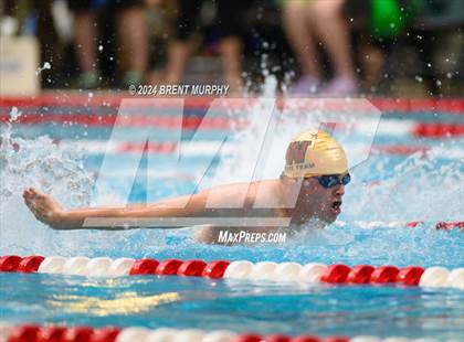 Thumbnail 3 in CHSAA 4A Boys Swimming - State Championship photogallery.