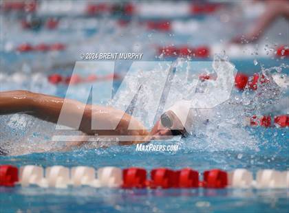 Thumbnail 1 in CHSAA 4A Boys Swimming - State Championship photogallery.