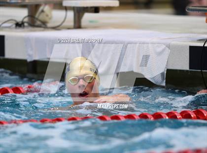 Thumbnail 3 in CHSAA 4A Boys Swimming - State Championship photogallery.