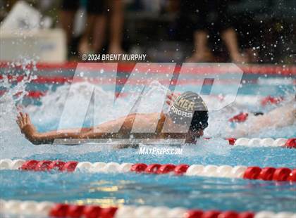 Thumbnail 3 in CHSAA 4A Boys Swimming - State Championship photogallery.