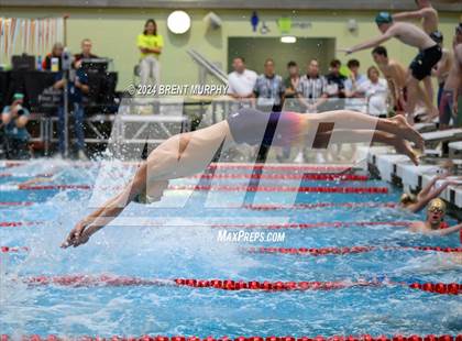 Thumbnail 2 in CHSAA 4A Boys Swimming - State Championship photogallery.